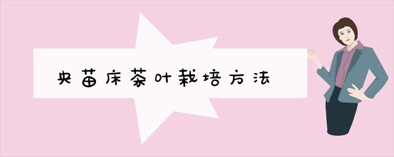 央苗床茶叶栽培方法