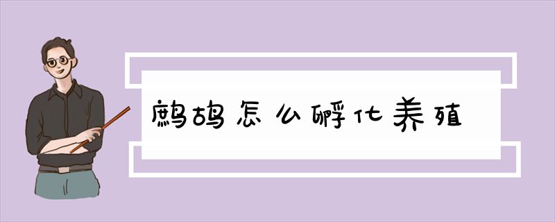 鹧鸪怎么孵化养殖