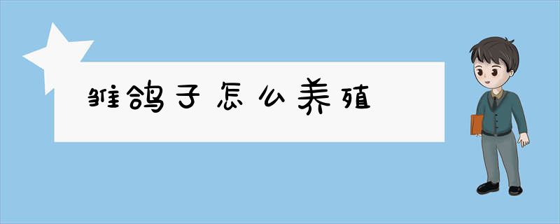 雏鸽子怎么养殖