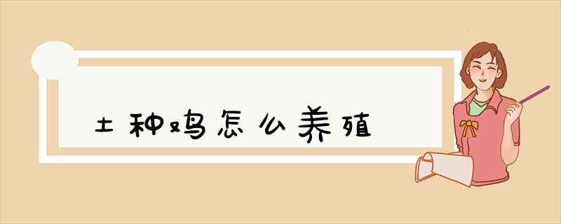 土种鸡怎么养殖