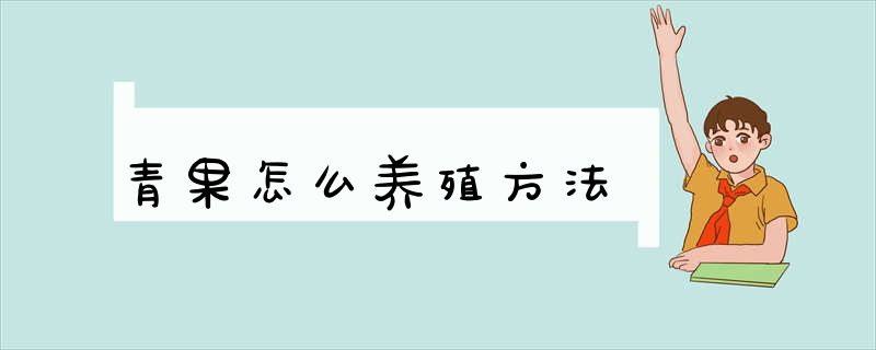 青果怎么养殖方法