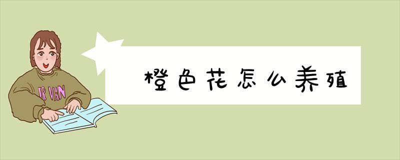 橙色花怎么养殖