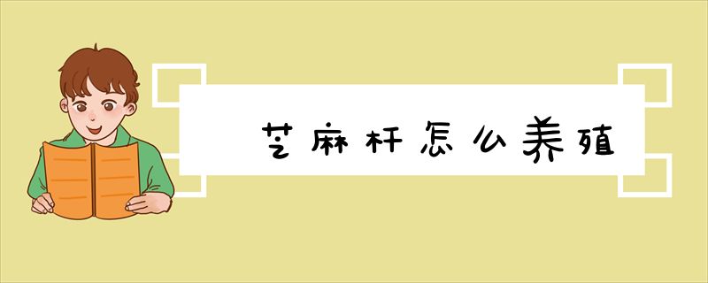 芝麻杆怎么养殖