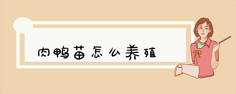 肉鸭苗怎么养殖