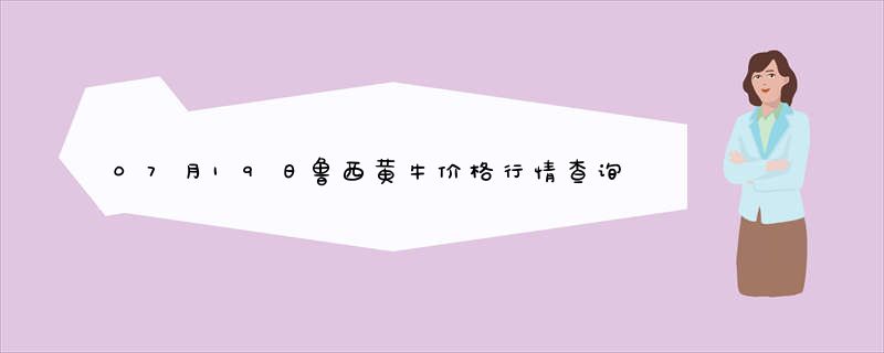 07月19日鲁西黄牛价格行情查询